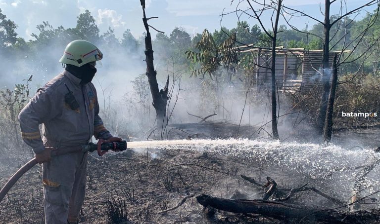 Kebakaran Lahan di Bintan Utara Hampir Hanguskan Rumah, Warga Panik