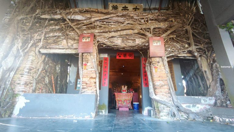 Misteri Kelenteng Akar Pohon Beringin Tanjungpinang, Usianya Capai 200 Tahun