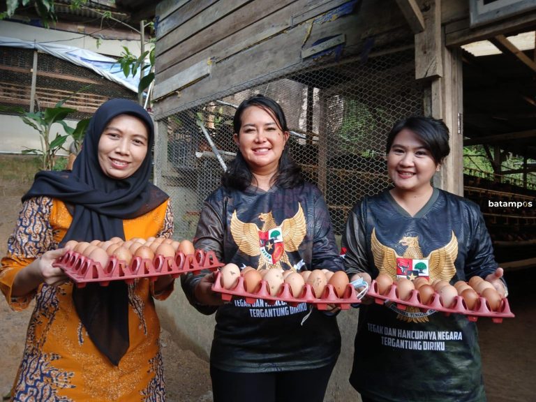 Peternakan Ayam Petelur Lanal Tarempa Tuai Pujian Ketua IKKT Kogabwilhan I