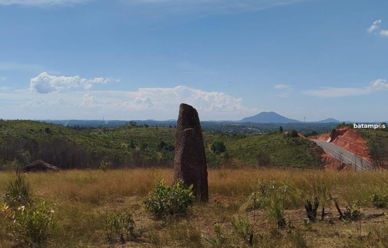 Pesona Bukit Alif, Surga Sabana Tersembunyi di Perbatasan Tanjungpinang-Bintan