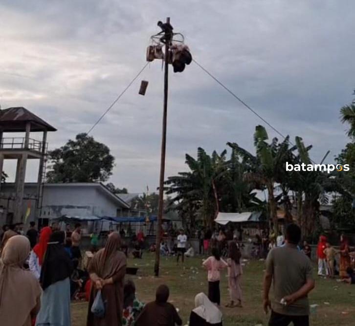 Keseruan Lomba Panjat Pinang Warnai HUT Ke-80 RI di Toapaya Selatan