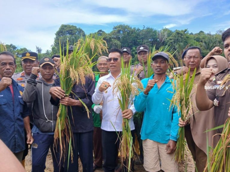 Bupati Aneng Bakal Optimalkan Produksi Lokal Sikapi Lonjakan Harga Beras Premium