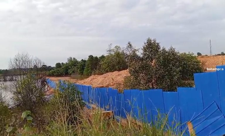 Mangrove Dirusak, Laut Ditimbun di Dapur 12, Warga Desak Penindakan Tegas