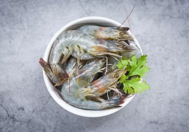 Ini 6 Risiko Bahaya Makan Udang Mentah bagi Kesehatan Tubuh