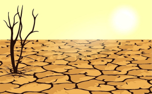 BMKG Prediksi Musim Kemarau di Lingga Bertahan hingga September 2025