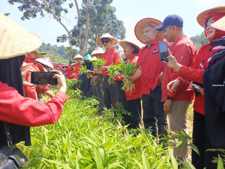 Hari Tani Nasional, PDIP Kepri Dengar Langsung Keluhan Petani Tembesi