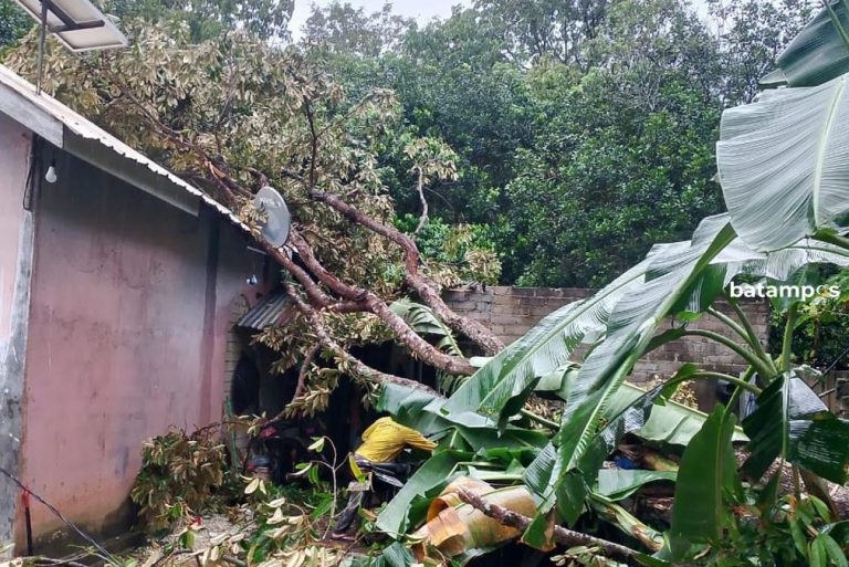 Rumah Sularno dan Sapiah di Pulau Buru Ditimpa Pohon Tumbang, Satu Korban Patah Kaki