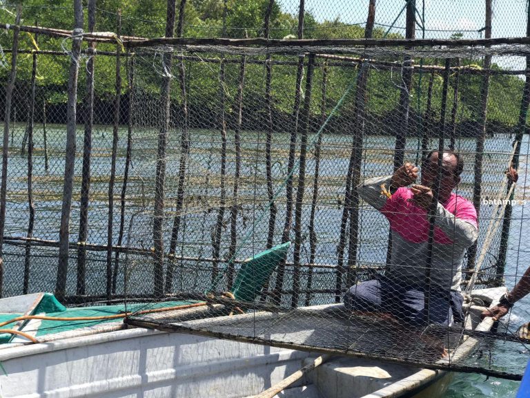 92 KUB di Batam Jadi Sasaran Bantuan Rp6,7 Miliar dari Diskan