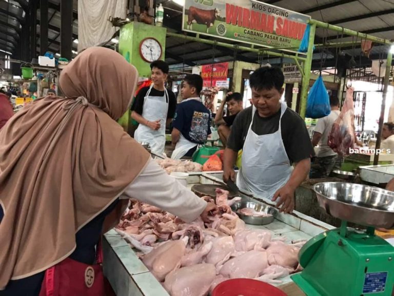 Stok Menipis, Harga Ayam di Tanjungpinang Naik Jadi Rp40 Ribu per Kg
