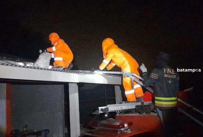 Coba Evakuasi Sarang, Pasutri di Bintan Diserang Kawanan Tawon Vespa