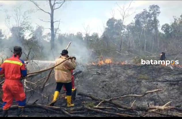 Lahan Perkebunan di Singkep 3 Hektar Terbakar, Api Baru Padam 2 Jam