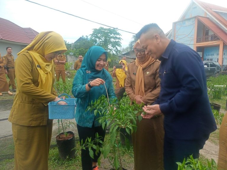 Disperindagkop Lingga Panen Perdana 16,2 Kg Cabai Rawit, Langsung Dibagikan