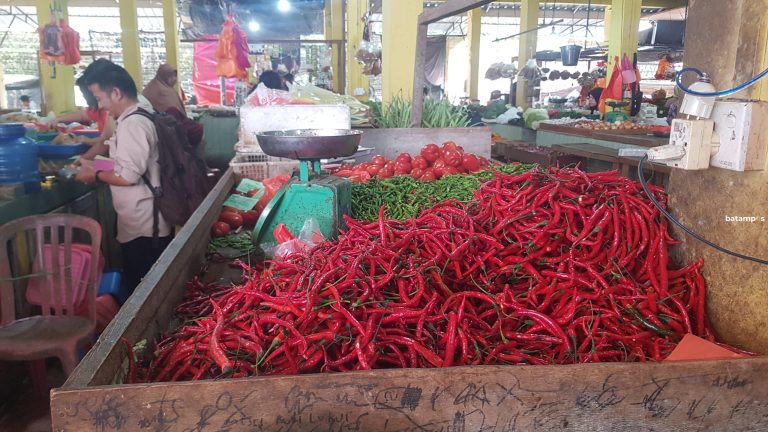 Harga Cabai di Karimun Semakin Mahal, Harga Cabai Setan di Bawah Cabai Merah
