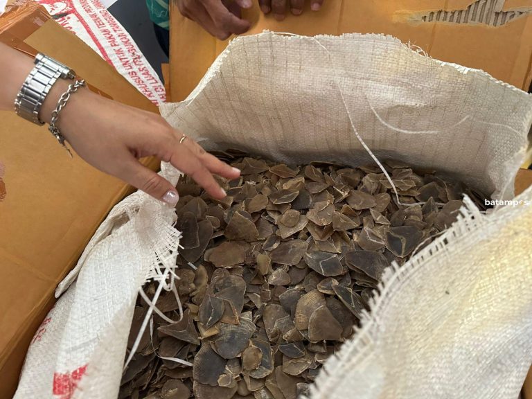Penyelundupan Sisik Trenggiling Senilai Rp1,2 Miliar Digagalkan