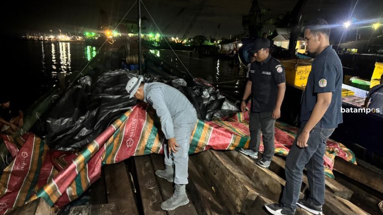 Bakamla Bongkar Penyelundupan Kayu di Batam, 99 Meranti dan 344 Kayu Rimba Disita