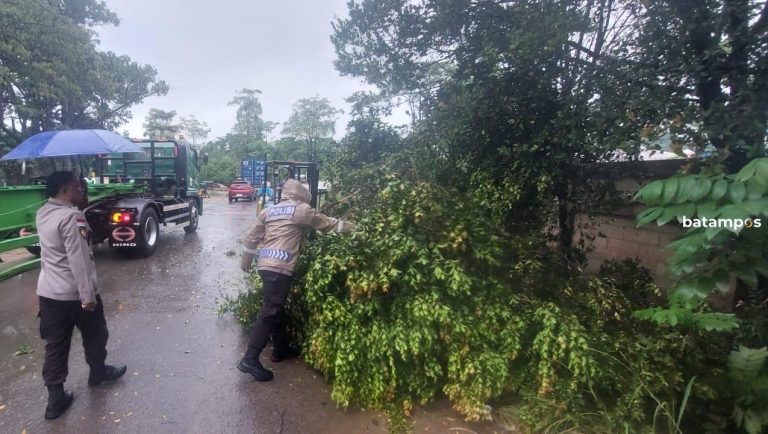 Cuaca Buruk, Waspada Pohon Tumbang