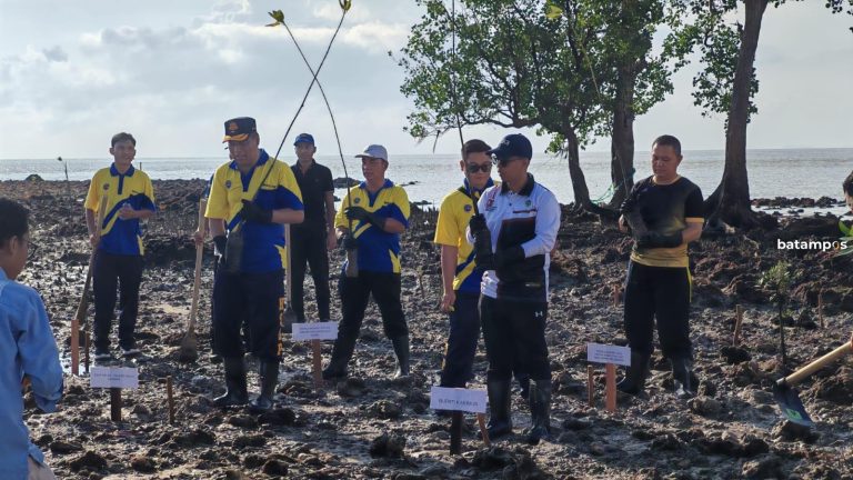 KSOP Karimun Tanam 100 Pohon Mangrove dan Bagikan 200 Life Jacket