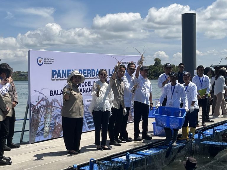 Batam Jadi Titik Awal Indonesia Menembus Pasar Lobster Dunia