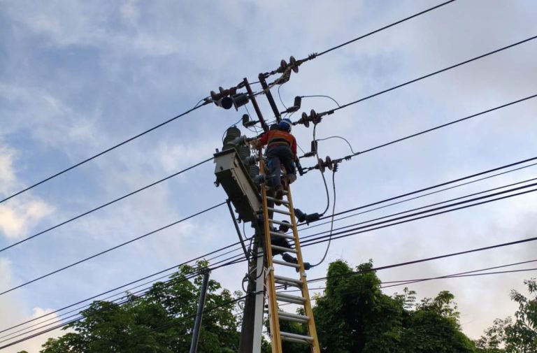 Pemadaman di Piayu, PLN Batam Sebut Akibat Layang-layang dan Pohon Tumbang