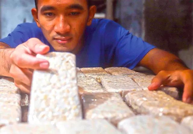 Daftar Makanan Fermentasi Kaya Probiotik, Baik untuk Pencernaan dan Imunitas