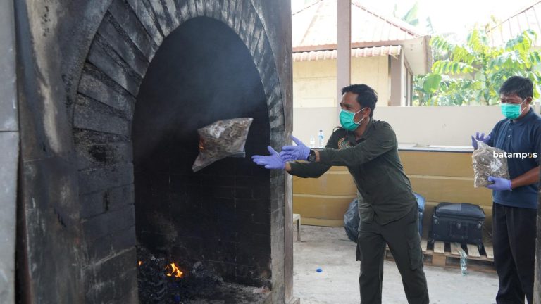 Ribuan Satwa Ilegal Dimusnahkan, Karantina Tindak Tegas Perdagangan Tak Berizin