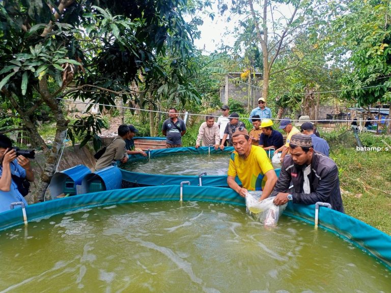 Batam Terapkan Teknologi Bioflok, Dorong Efisiensi dan Produktivitas Budidaya Ikan