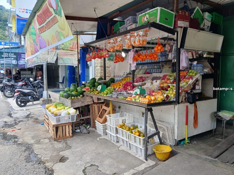 Harga Buah di Anambas Meroket, Jeruk Rp5 Ribu Per Biji dan Anggur Rp80 Ribu Setengah Kilo