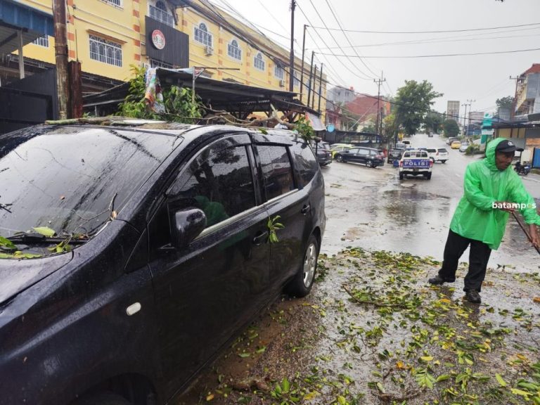 Cuaca Buruk di Tanjungpinang, Pohon Tumbang Timpa Mobil dan Tutup Jalan