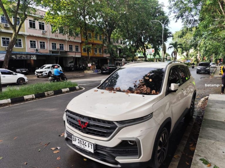 Mobil Wuling Terparkir Berbulan-bulan di Bintan Center, Dishub: Plat Diduga Palsu