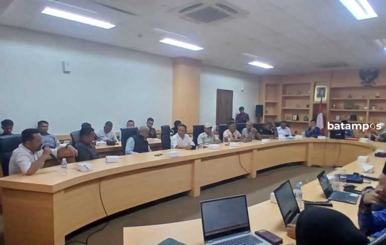 DPRD Lingga Desak Pemprov Kepri Segera Tetapkan Wilayah Tambang Rakyat
