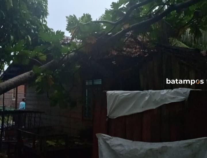 Angin Kencang, Dapur Rumah di Senayang Hancur Tertimpa Pohon Sukun