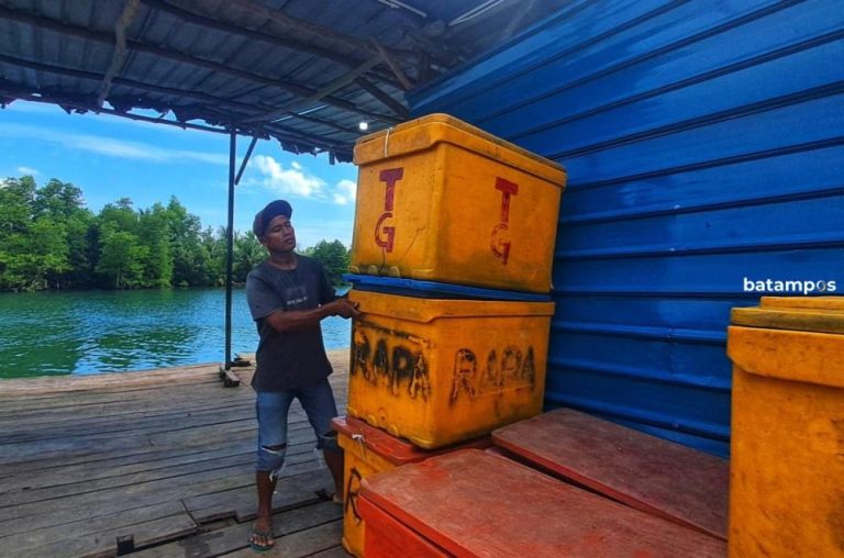 Viral! Pelabuhan Rakyat di Sei Enam Diduga Jadi Jalur Bongkar Sembako Ilegal dari Batam