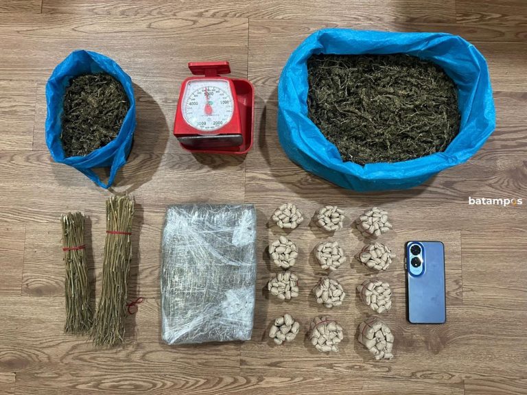Polisi Tangkap Juara si Pengedar Ganja di Bukit Senyum, Sita Hampir 3 Kg Barang Bukti