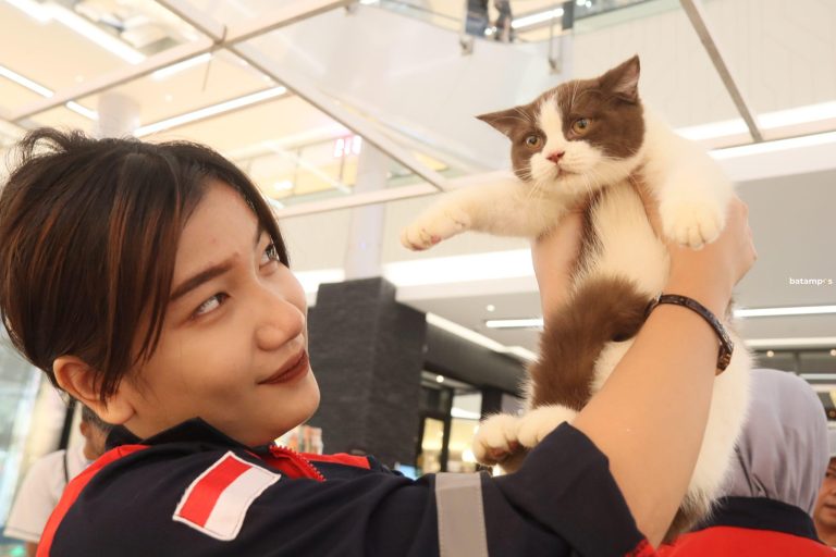 Indonesian Cat Association Gelar Pameran Satwa di Grand Batam Mall, Hiburan dan Edukasi