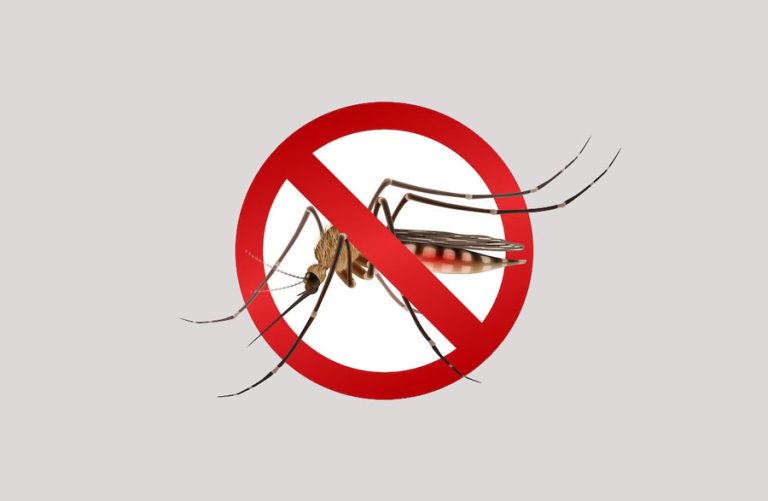 Waspada DBD! Puskesmas Teluk Sasah Catat 73 Kasus Sepanjang 2025