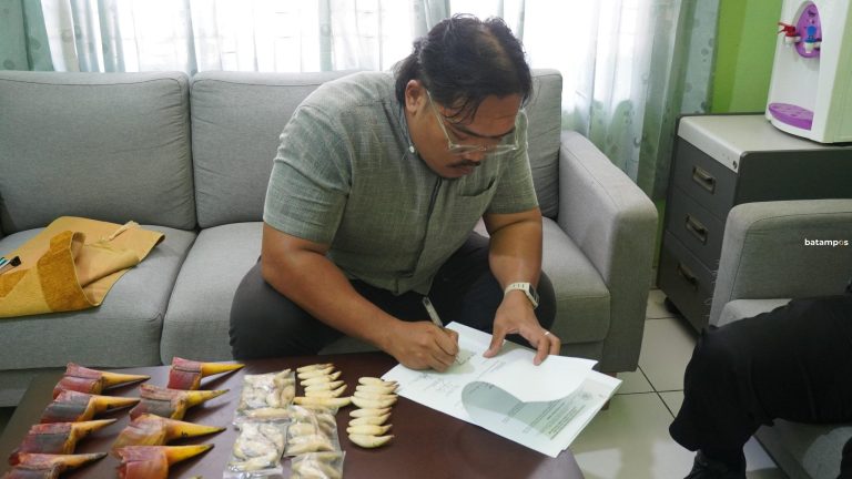 Bea Cukai Batam Gagalkan Penyelundupan Paruh Rangkong dan Taring Beruang