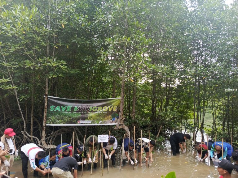 Rawat Pesisir, PSDKP Batam Gerakkan Penanaman Mangrove di Tanjungpiayu