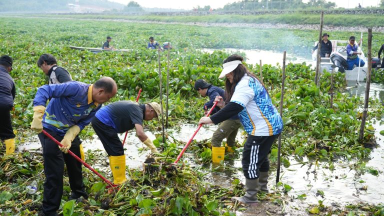BP Batam Bersihkan Gulma di Waduk Duriangkang, Jaga Kualitas Air
