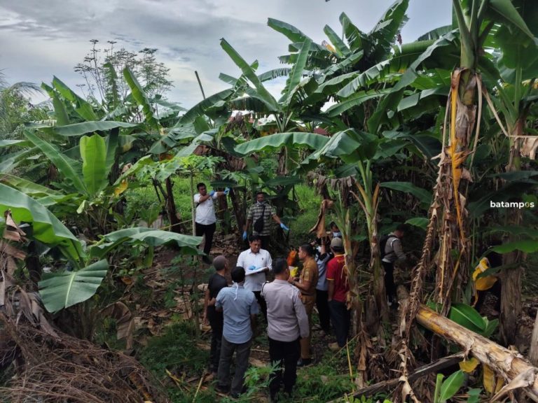 Pria Lansia Ditemukan Meninggal di Kebun Pisang Jalan Wiratno