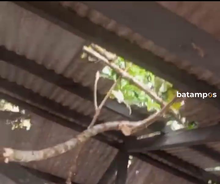 Atap Parkiran Pelabuhan Jagoh Ambruk Tertimpa Pohon, Belum Diperbaiki