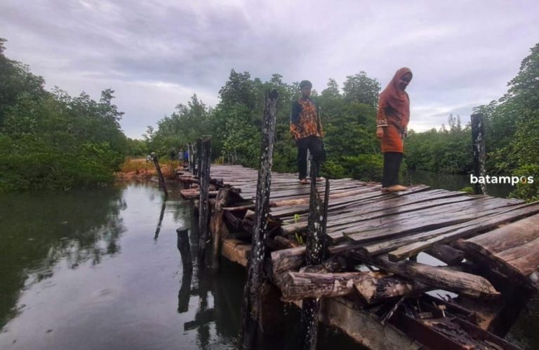 Viral Anak Terperosok ke Lubang Jembatan di Kuala Sempang, Tas Sekolah Jadi Penyelamat