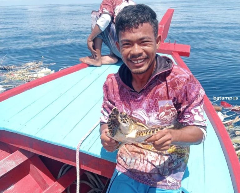 Nelayan Jemaja Selamatkan Dua Penyu Tersangkut Jaring di Teluk Sadang