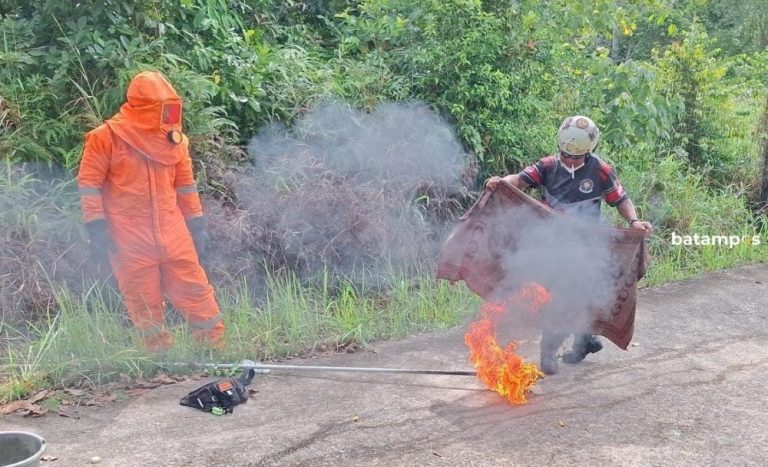 Usil Lempar Sarang, Pelajar SD di Bintan Diserang dan Disengat Koloni Lebah