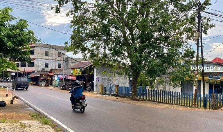 Kabel Listrik dan Internet Semrawut di Sei Jang, Warga Minta Ditertibkan