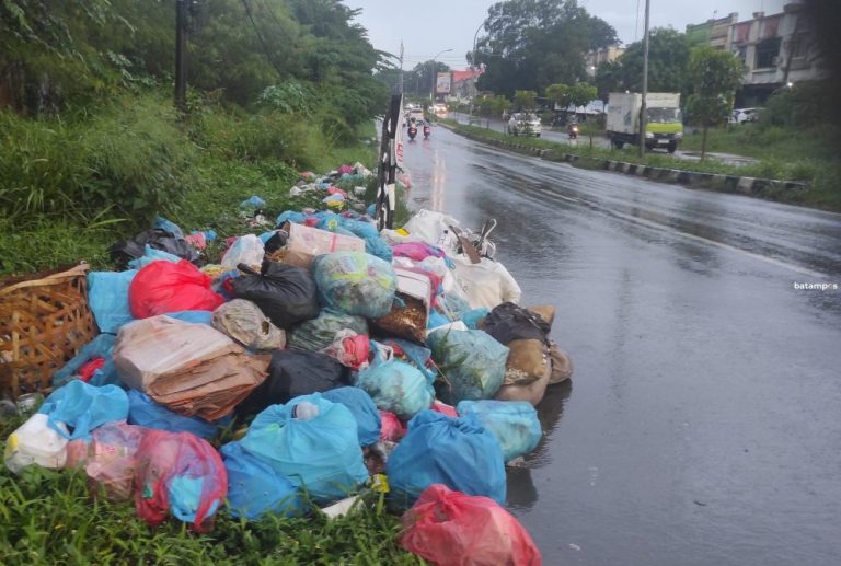 Penolakan TPS Picu Krisis Sampah di Legenda dan Perumahan Oma, Warga Desak DLH Bertindak