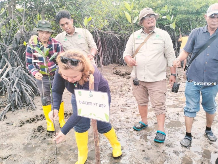 Jaga Kelestarian, Panbil Group Tanam 5.000 Pohon Mangrove.
