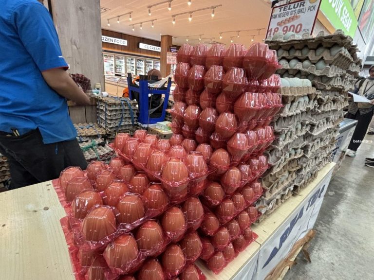 Mardanis Ungkap Penyebab Tingginya Harga Telur di Batam