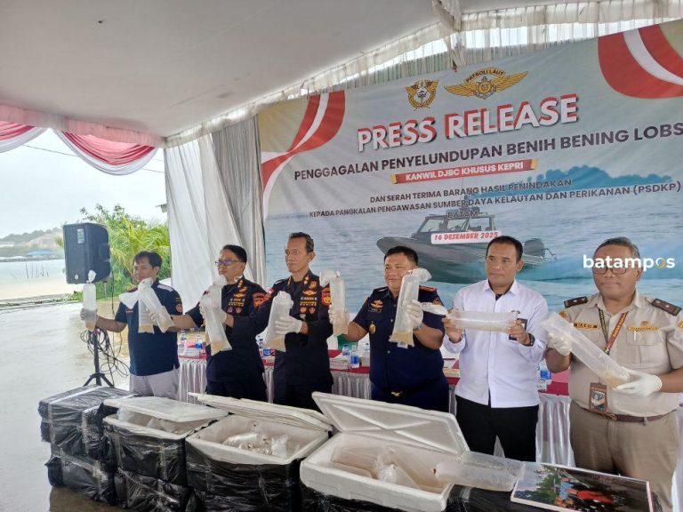Bea dan Cukai Kepri Gagalkan Penyelundupan 129.965 Benih Bening Lobster