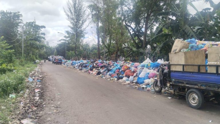 Tumpukan Sampah Mengular di Jalan Dekat Kawasan Industri Sekupang, Warga Keluhkan Bau Menyengat