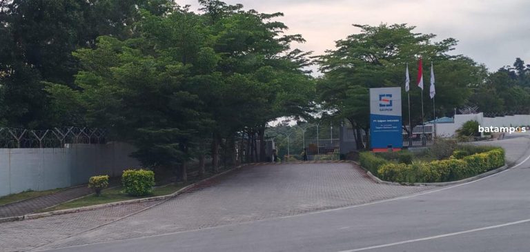 2025, Hanya 1 PMA Masuk ke Karimun